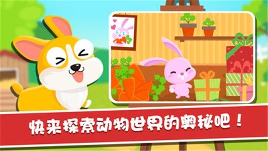 宝宝动物园