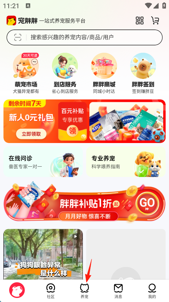 宠胖胖