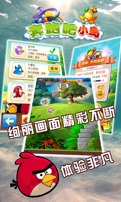 奔跑吧小鸟