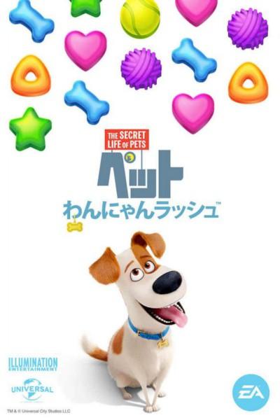 宠物的秘密生活