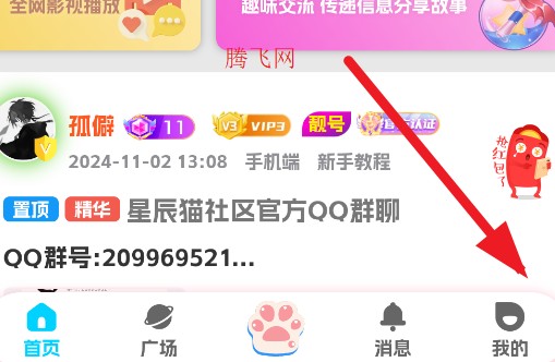 星辰猫