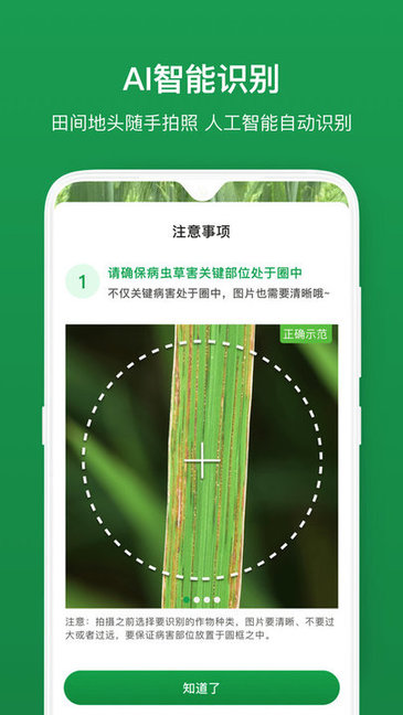植物医生