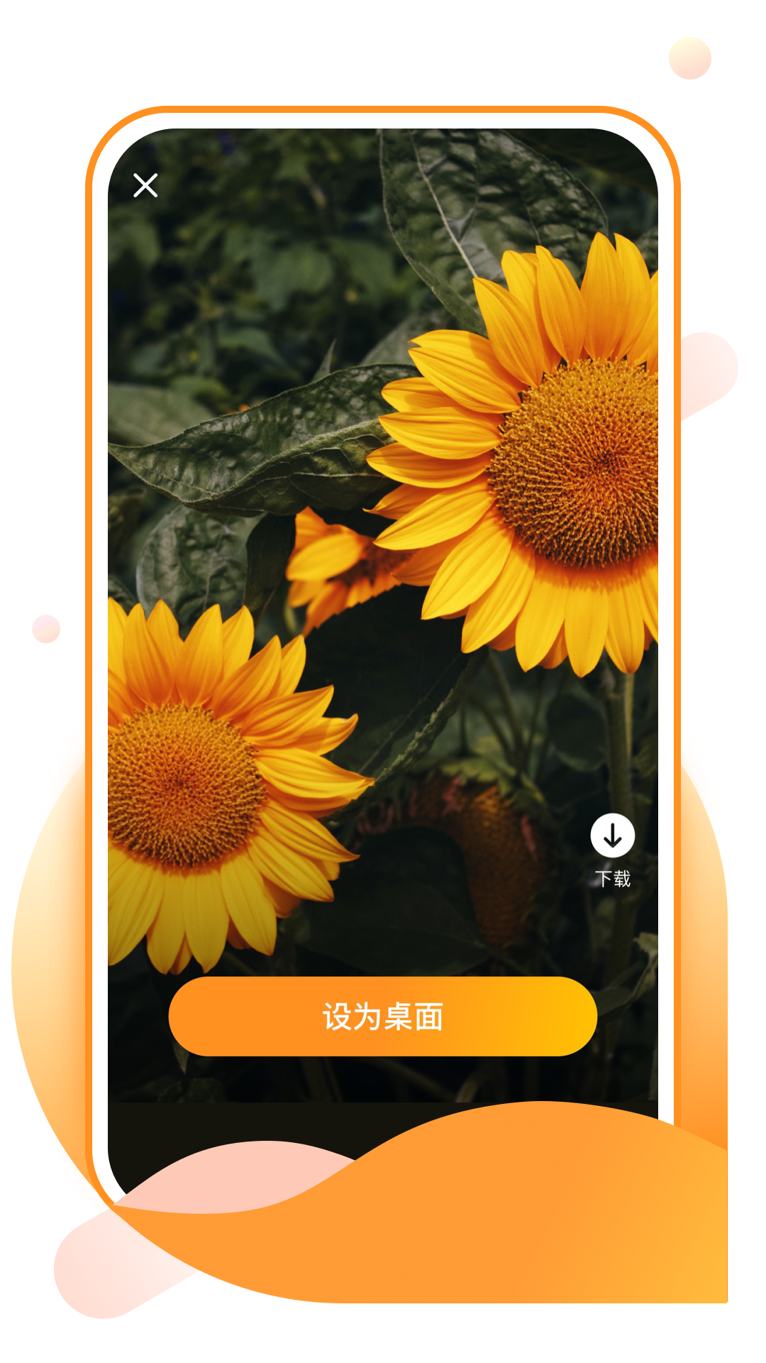 元气手机壁纸