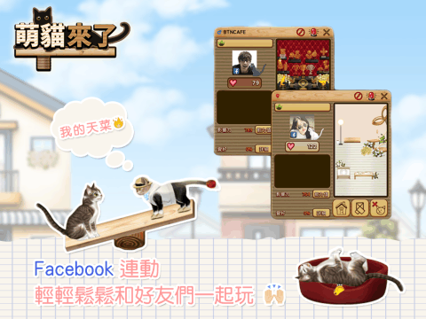 萌猫来了