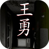 孙美琪疑案王勇