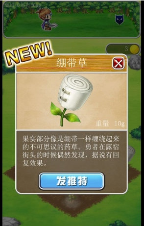 王国的药草师