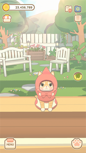 窗外的猫