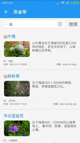 燕雀草