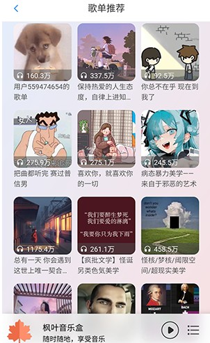 枫叶音乐