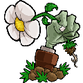 植物大战僵尸魔幻版中文版