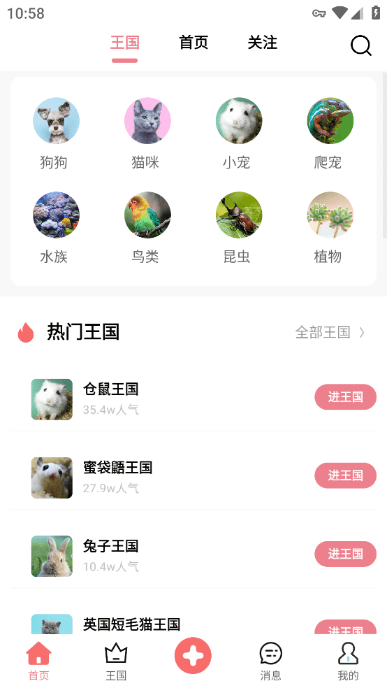 宠物王国