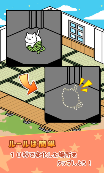 欢乐找猫猫