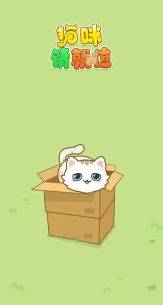 猫咪请就位