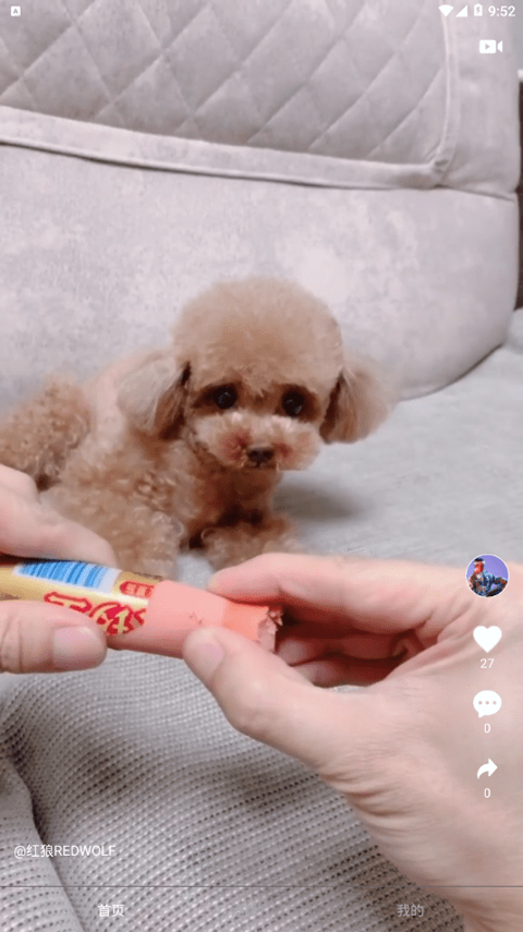小主短视频