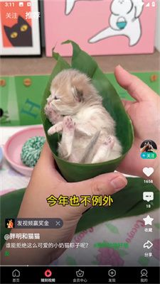 爱奇艺视频hd