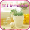 掌上花卉苗木网