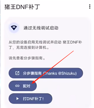 猪王DNF补丁特别版