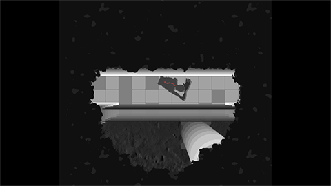 体内寄生虫2
