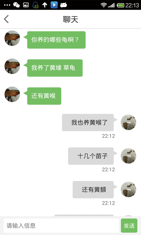 宠龟小筑