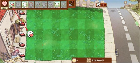 小白大战小鸡毛