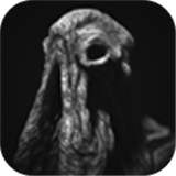 SARCOPH