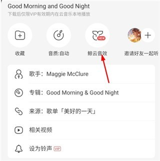 网易云音乐精简版