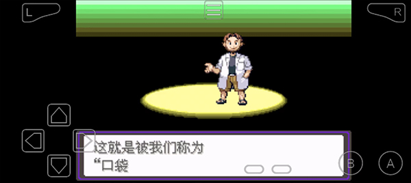 口袋妖怪漆黑魅影