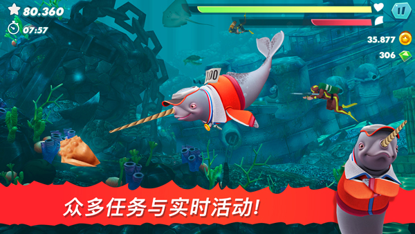 鲨鱼进化