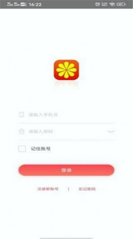 金点拍
