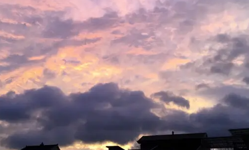 视频抠图