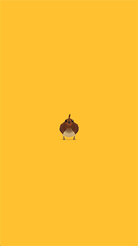 疯狂的鸽子pigeonpop