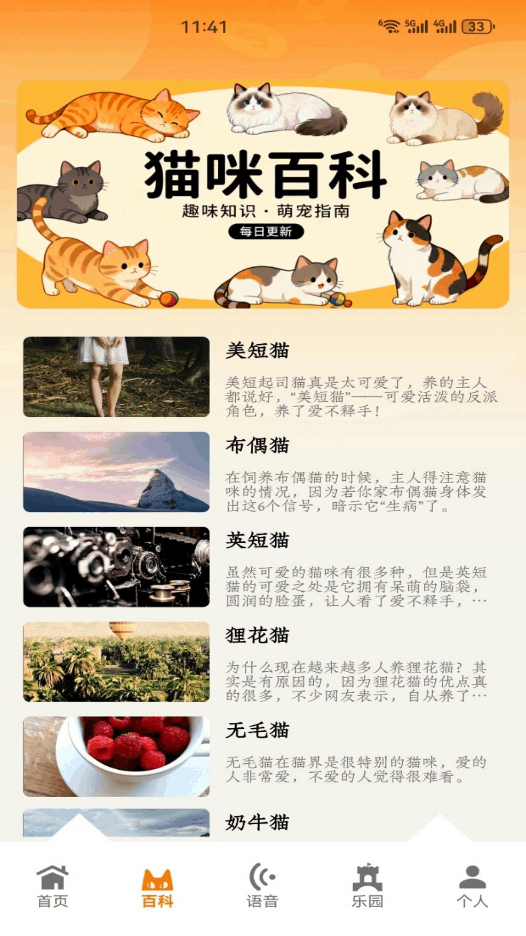 暖暖猫咪