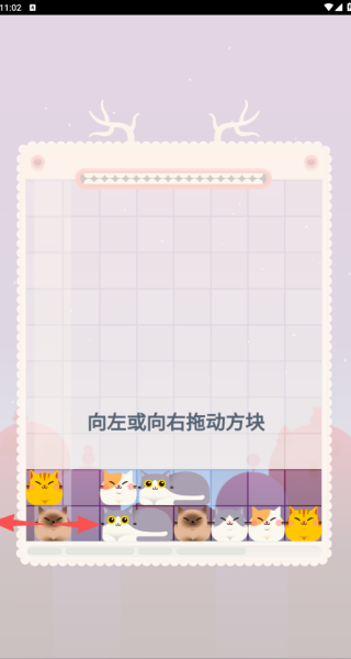 放下猫咪