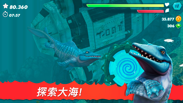 鲨鱼进化