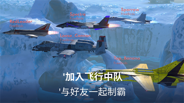 金属风暴国际服