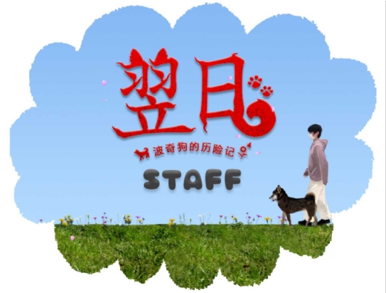 翌日波奇狗的历险记