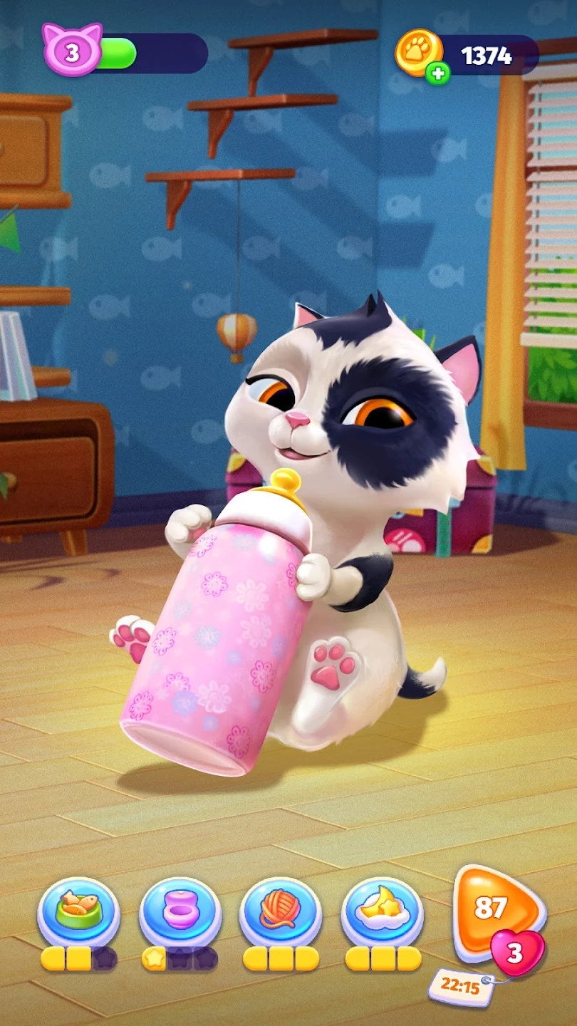 My Cat我的猫咪
