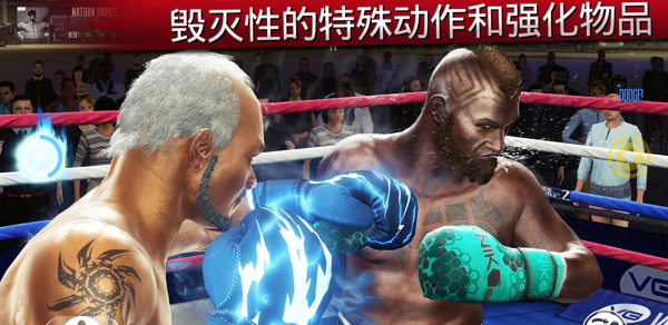 真实拳击2