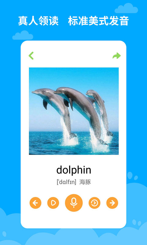 宝宝知道学英语