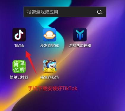 TikTok 国际版