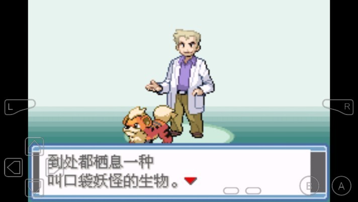 口袋妖怪真永恒之炎Y