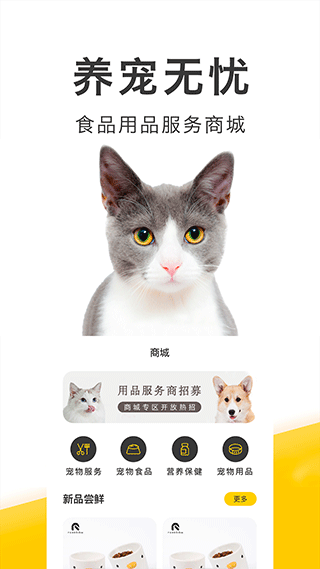 买只宠物平台