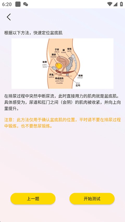 G动