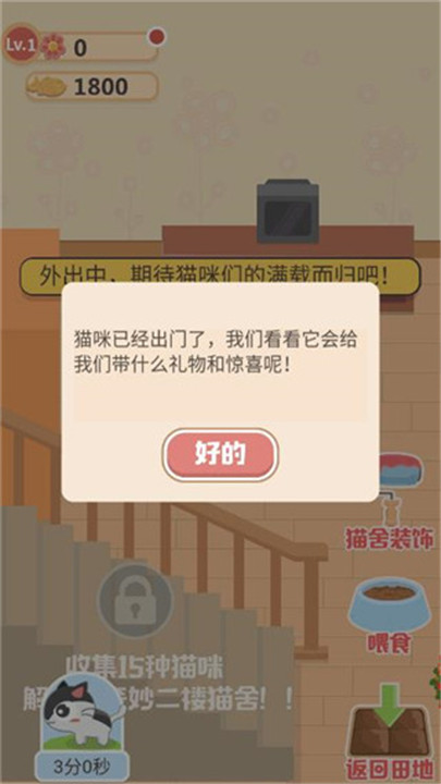 奇妙猫之家