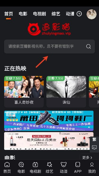 追影猫