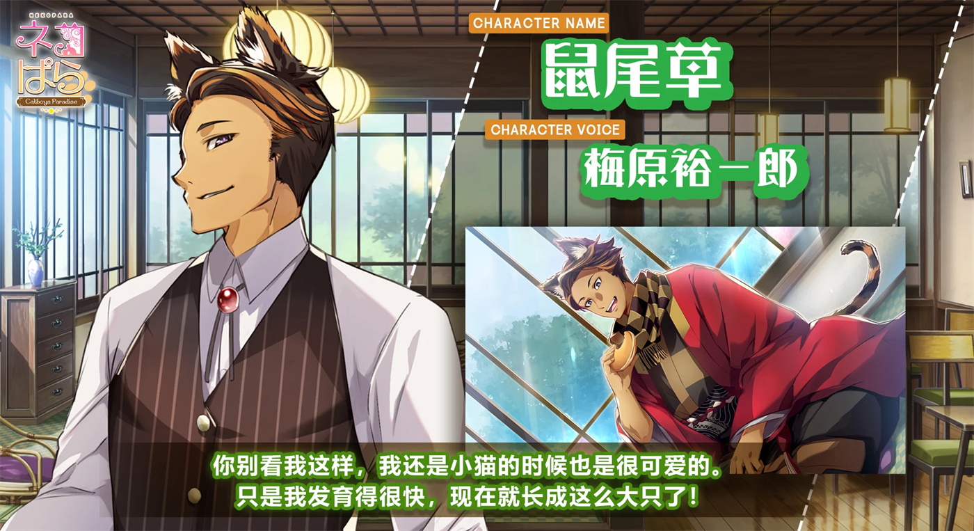 猫郎乐园安卓版