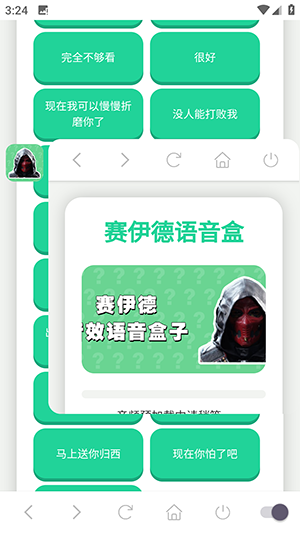 赛伊德语音盒