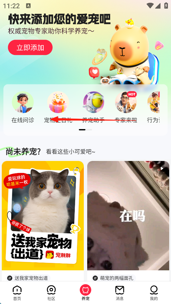宠胖胖