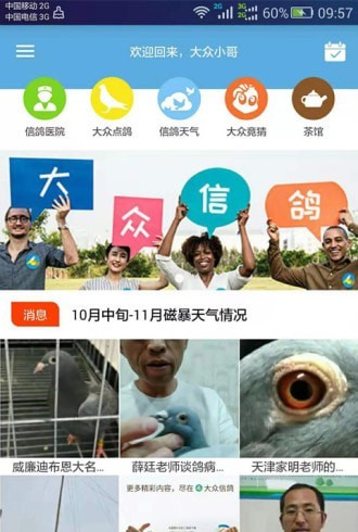 信鸽