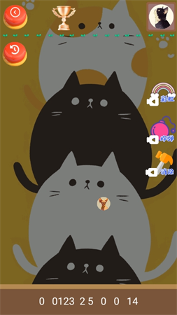 猫咪趣味合成